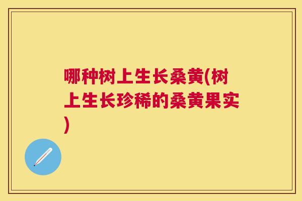 哪种树上生长桑黄(树上生长珍稀的桑黄果实)
