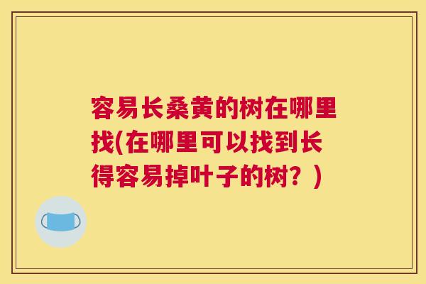 容易长桑黄的树在哪里找(在哪里可以找到长得容易掉叶子的树？)