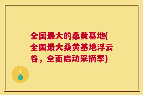 全国大的桑黄基地(全国大桑黄基地浮云谷，全面启动采摘季)