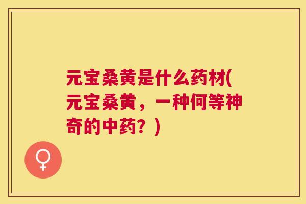 元宝桑黄是什么药材(元宝桑黄，一种何等神奇的？)