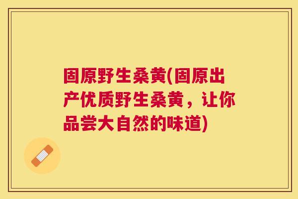 固原野生桑黄(固原出产优质野生桑黄，让你品尝大自然的味道)