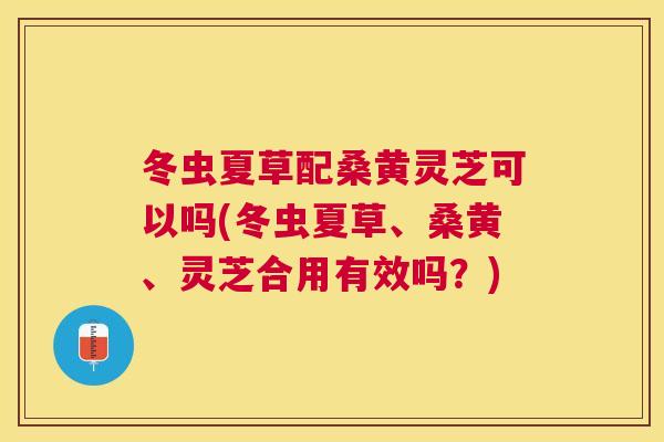 冬虫夏草配桑黄灵芝可以吗(冬虫夏草、桑黄、灵芝合用有效吗？)