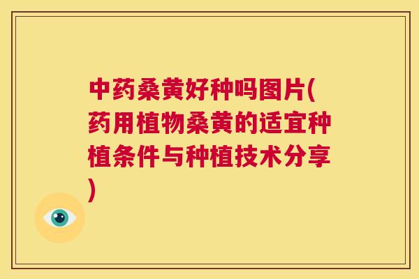 桑黄好种吗图片(药用植物桑黄的适宜种植条件与种植技术分享)