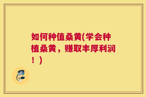 如何种值桑黄(学会种植桑黄，赚取丰厚利润！)