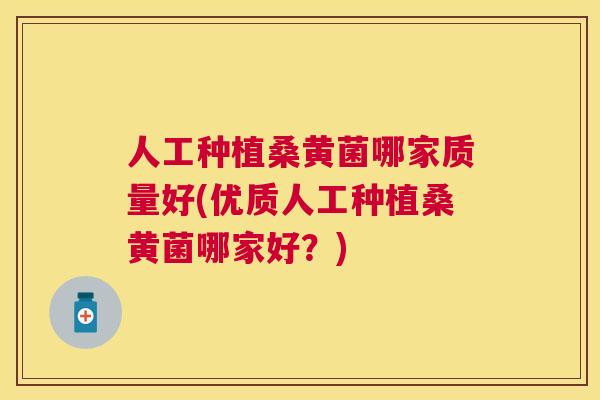 人工种植桑黄菌哪家质量好(优质人工种植桑黄菌哪家好？)
