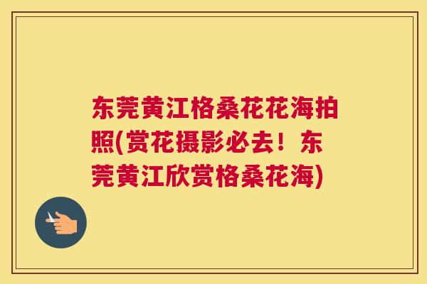 东莞黄江格桑花花海拍照(赏花摄影必去！东莞黄江欣赏格桑花海)