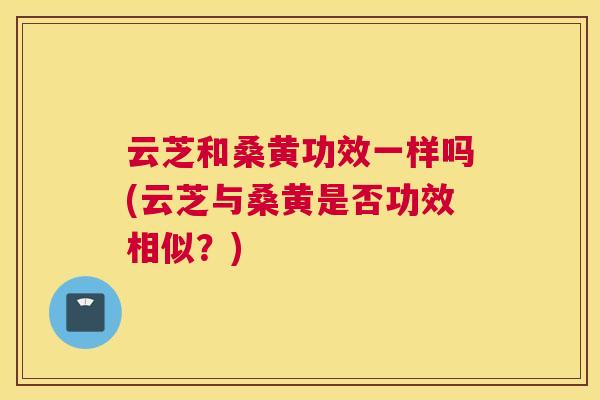 云芝和桑黄功效一样吗(云芝与桑黄是否功效相似？)