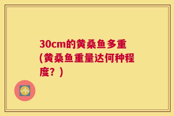 30cm的黄桑鱼多重(黄桑鱼重量达何种程度？)