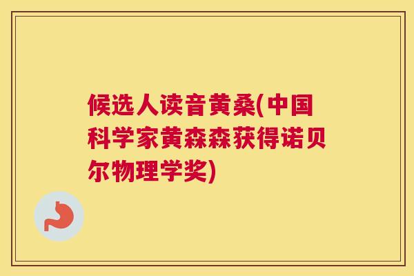 候选人读音黄桑(中国科学家黄森森获得诺贝尔物理学奖)