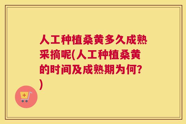 人工种植桑黄多久成熟采摘呢(人工种植桑黄的时间及成熟期为何？)