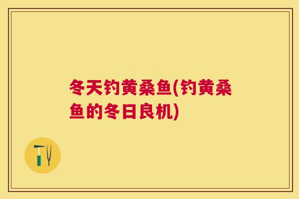 冬天钓黄桑鱼(钓黄桑鱼的冬日良机)