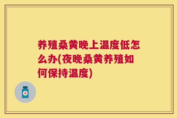 养殖桑黄晚上温度低怎么办(夜晚桑黄养殖如何保持温度)