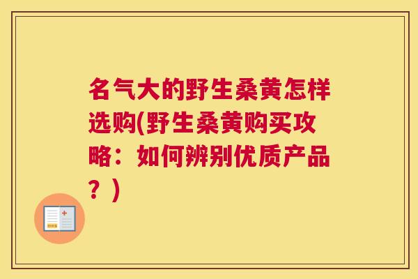 名气大的野生桑黄怎样选购(野生桑黄购买攻略：如何辨别优质产品？)