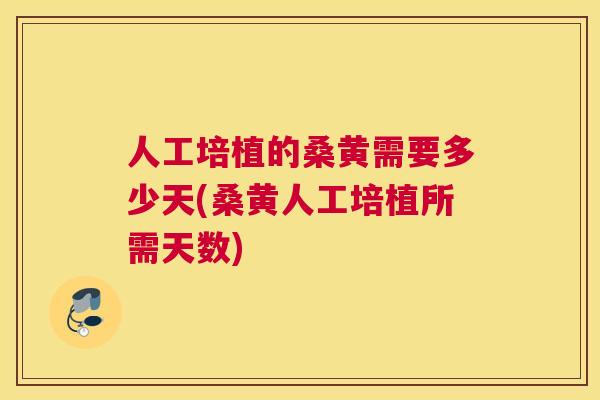 人工培植的桑黄需要多少天(桑黄人工培植所需天数)