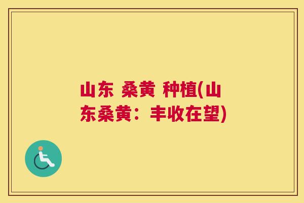 山东 桑黄 种植(山东桑黄：丰收在望)
