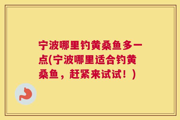 宁波哪里钓黄桑鱼多一点(宁波哪里适合钓黄桑鱼，赶紧来试试！)