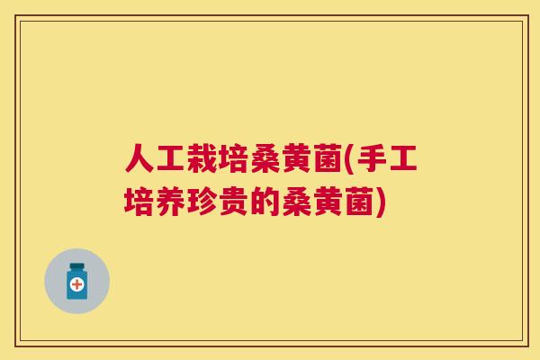 人工栽培桑黄菌(手工培养珍贵的桑黄菌)