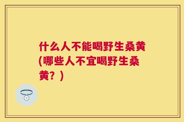 什么人不能喝野生桑黄(哪些人不宜喝野生桑黄？)