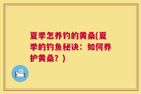 夏季怎养钓的黄桑(夏季的钓鱼秘诀：如何养护黄桑？)