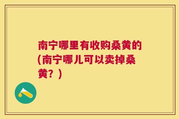 南宁哪里有收购桑黄的(南宁哪儿可以卖掉桑黄？)