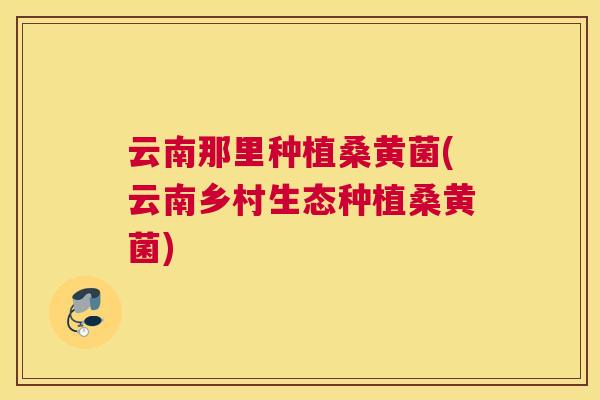 云南那里种植桑黄菌(云南乡村生态种植桑黄菌)