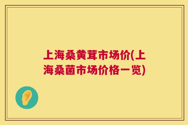 上海桑黄茸市场价(上海桑菌市场价格一览)