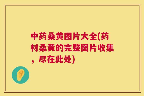 桑黄图片大全(药材桑黄的完整图片收集，尽在此处)