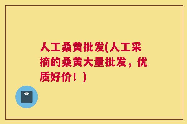 人工桑黄批发(人工采摘的桑黄大量批发，优质好价！)