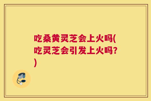 吃桑黄灵芝会上火吗(吃灵芝会引发上火吗？)