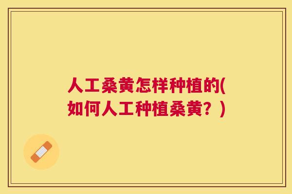 人工桑黄怎样种植的(如何人工种植桑黄？)