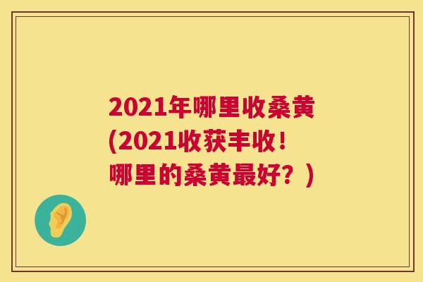 2021年哪里收桑黄(2021收获丰收！哪里的桑黄好？)