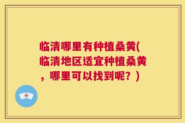 临清哪里有种植桑黄(临清地区适宜种植桑黄，哪里可以找到呢？)