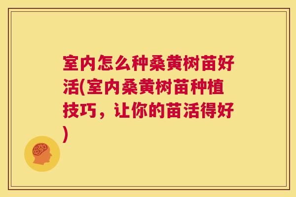 室内怎么种桑黄树苗好活(室内桑黄树苗种植技巧，让你的苗活得好)