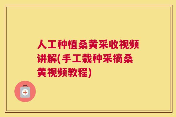 人工种植桑黄采收视频讲解(手工栽种采摘桑黄视频教程)