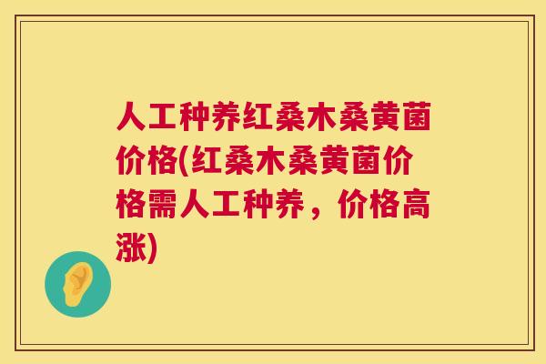 人工种养红桑木桑黄菌价格(红桑木桑黄菌价格需人工种养，价格高涨)