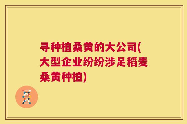 寻种植桑黄的大公司(大型企业纷纷涉足稻麦桑黄种植)