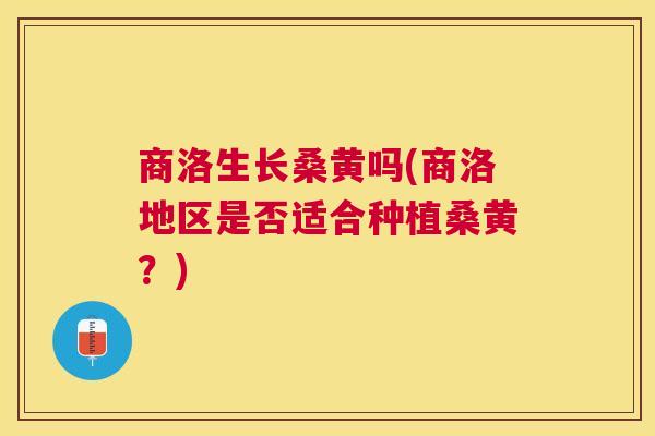 商洛生长桑黄吗(商洛地区是否适合种植桑黄？)