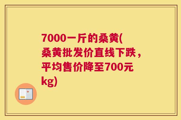 7000一斤的桑黄(桑黄批发价直线下跌，平均售价降至700元kg)