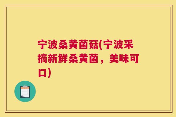 宁波桑黄菌菇(宁波采摘新鲜桑黄菌，美味可口)