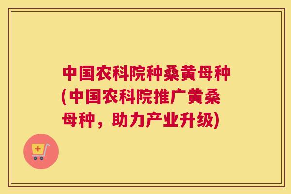 中国农科院种桑黄母种(中国农科院推广黄桑母种，助力产业升级)