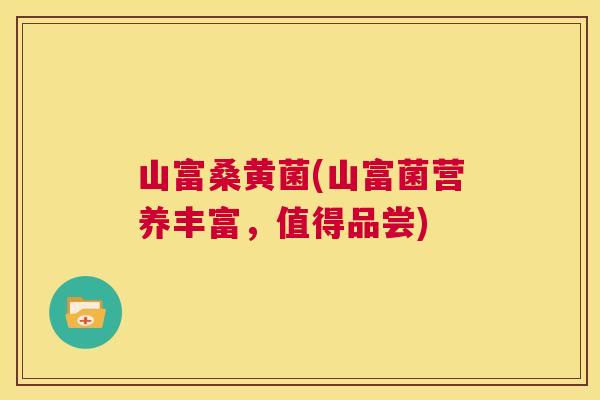 山富桑黄菌(山富菌营养丰富，值得品尝)