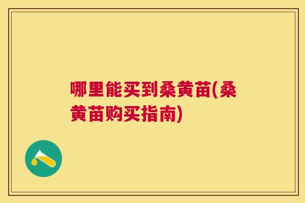 哪里能买到桑黄苗(桑黄苗购买指南)