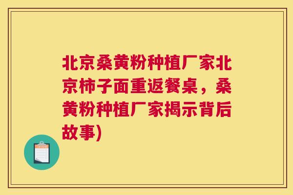 北京桑黄粉种植厂家北京柿子面重返餐桌，桑黄粉种植厂家揭示背后故事)