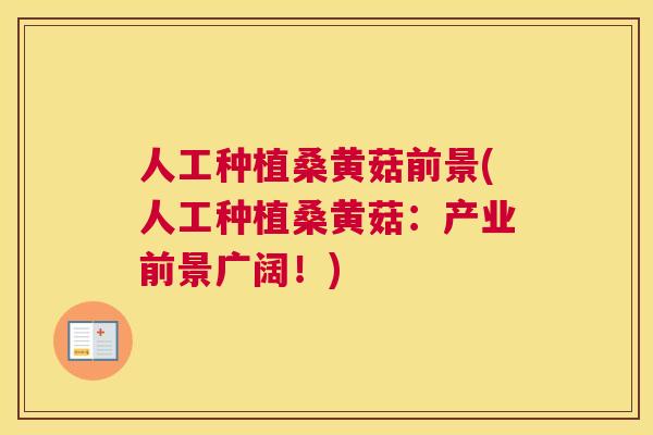 人工种植桑黄菇前景(人工种植桑黄菇：产业前景广阔！)