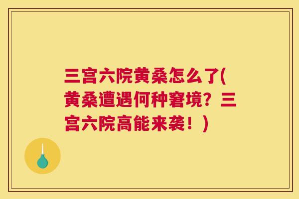 三宫六院黄桑怎么了(黄桑遭遇何种窘境？三宫六院高能来袭！)