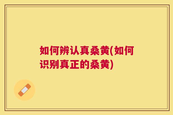 如何辨认真桑黄(如何识别真正的桑黄)
