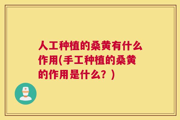 人工种植的桑黄有什么作用(手工种植的桑黄的作用是什么？)