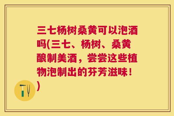 三七杨树桑黄可以泡酒吗(三七、杨树、桑黄酿制美酒，尝尝这些植物泡制出的芬芳滋味！)