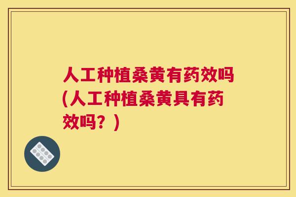 人工种植桑黄有吗(人工种植桑黄具有吗？)