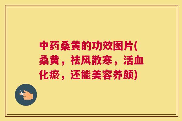 桑黄的功效图片(桑黄，祛风散寒，活化瘀，还能美容养颜)
